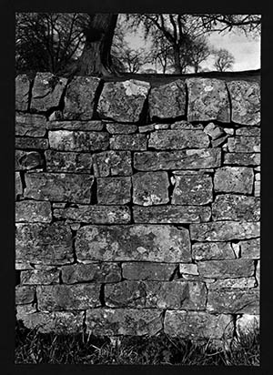 Derbyshire wall